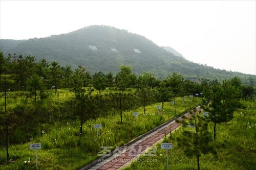총련애국림의 푸른 동산