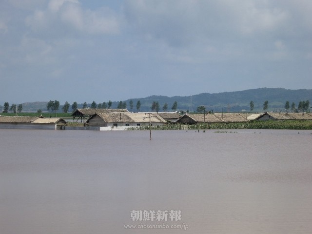 大雨により水に浸かった平安南道安州市の一部地域