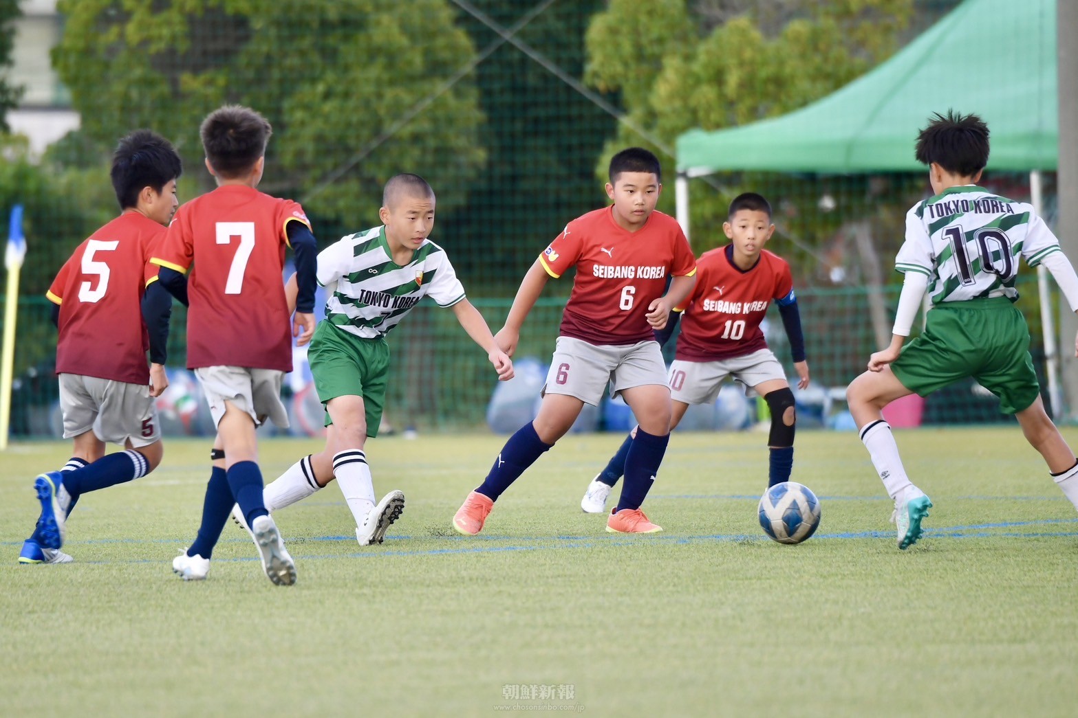 〈第46回コマチュック〉本選予選ㄴ組／東京第3・第9が接戦制し1位通過