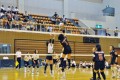 第20回「イプニカップ」近畿地方初級部女子バレーボール大会、東大阪が優勝