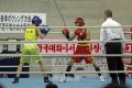 韓亮昊選手がインターハイ出場権獲得／大阪朝高ボクシング部、府予選で