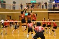 中級部は尼崎、高級部は神戸が優勝／兵庫で在日本朝鮮中高級学校バレーボール選手権