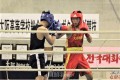 梁章太選手、3年連続インターハイ出場へ／大阪朝高ボクシング部、府予選で優勝