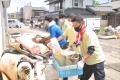 「総聯緊急復旧支援隊」が新潟で復旧作業／豪雨被害の同胞を支援するため【動画】