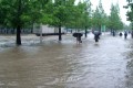 조선의 중부지대에 폭우와 무더기비가 계속 발생
