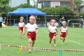 〈쯔루미조선유치원〉매력있는 천연잔디의 운동장을／《아이들이 마음껏 뛰놀수 있도록》