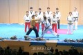 〈평창올림픽〉 북남태권도인들의 합동시범출연 진행