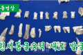 【동영상】원시동굴유적 새로 발굴
