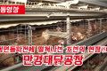 【동영상】〈정면돌파전에 떨쳐나선 조선의 현장 9〉만경대닭공장