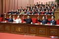 조선로동당 제8차대회에서 조선로동당규약개정에 대한 결정서 채택