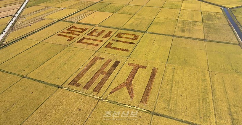 온 나라 방방곡곡에서 들려오는 소식, 《농사가 례년에 없이 잘되였다》