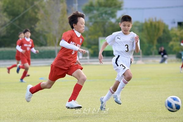 《제46차 꼬마축구대회》 특징／꾸준한 노력과 도전정신이 평가